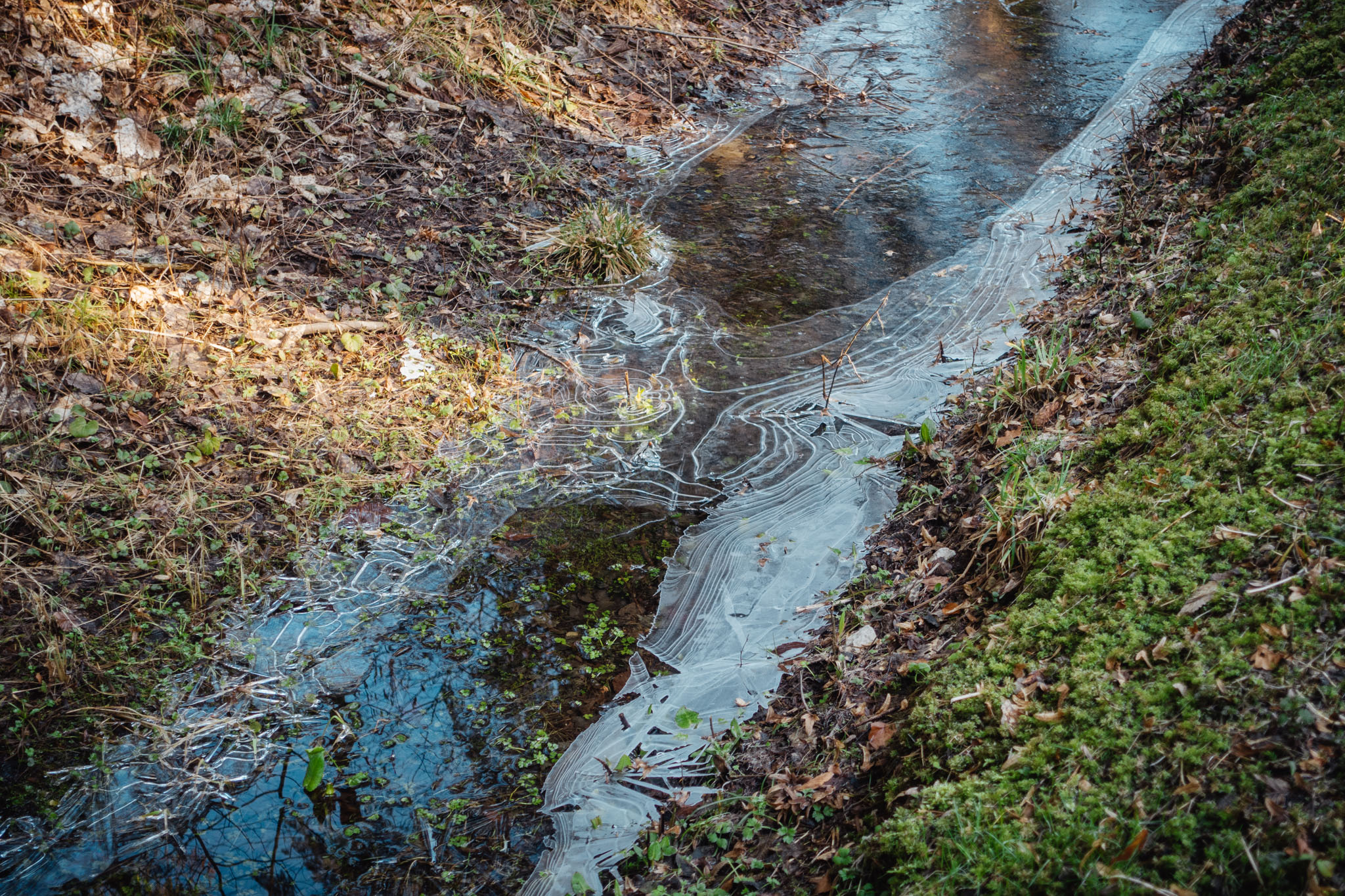 2020-02-09 Neuhaus to Pegnitz-0071