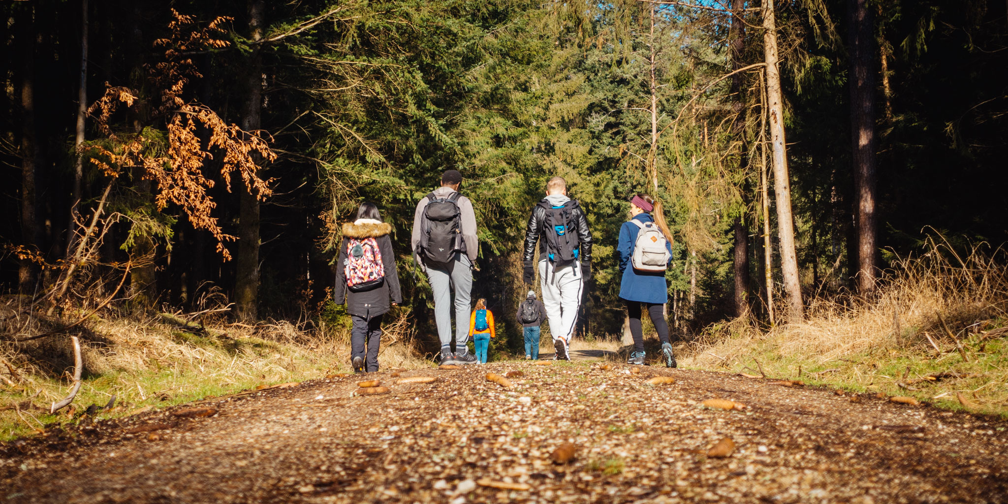 2020-02-09 Neuhaus to Pegnitz-0079