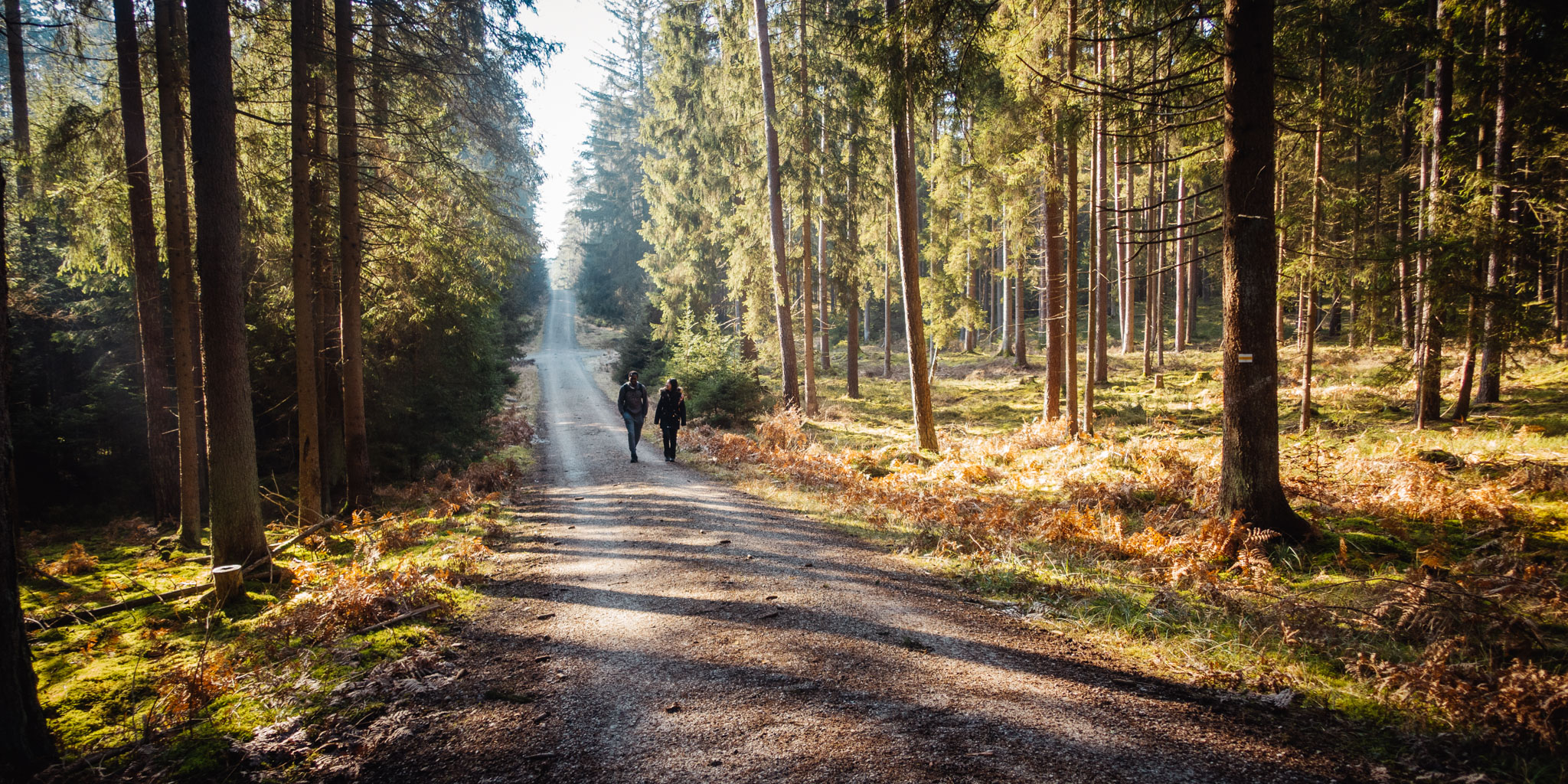 2020-02-09 Neuhaus to Pegnitz-0082