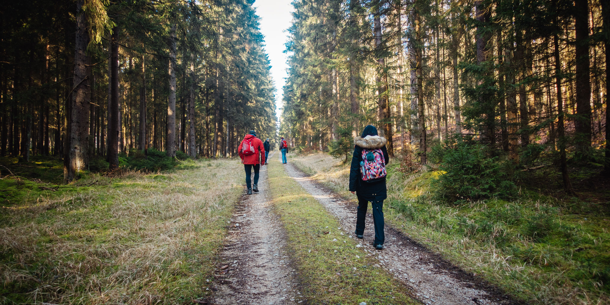 2020-02-09 Neuhaus to Pegnitz-0093