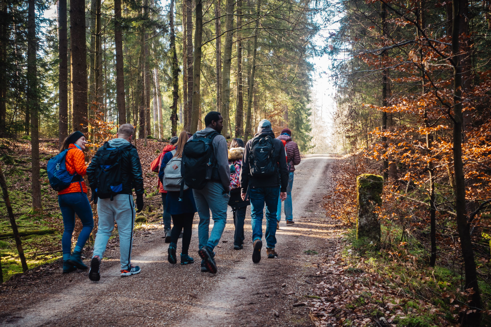 2020-02-09 Neuhaus to Pegnitz-0105