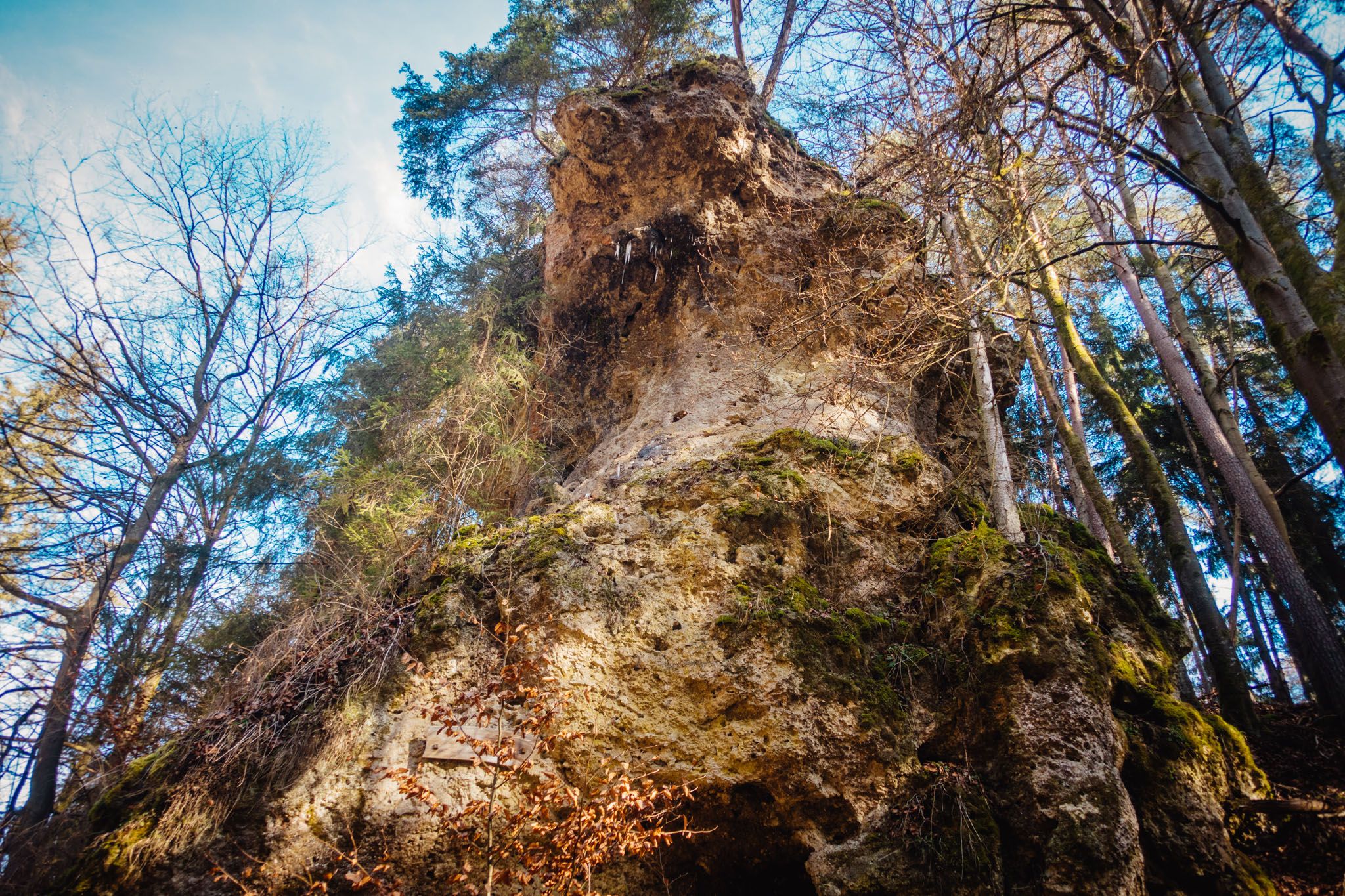 2020-02-09 Neuhaus to Pegnitz-0119