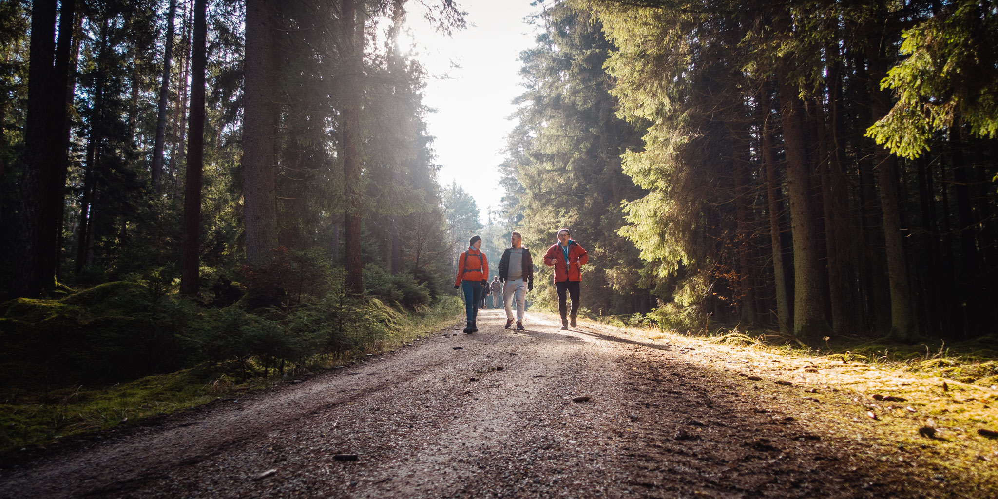 2020-02-09 Neuhaus to Pegnitz-0126