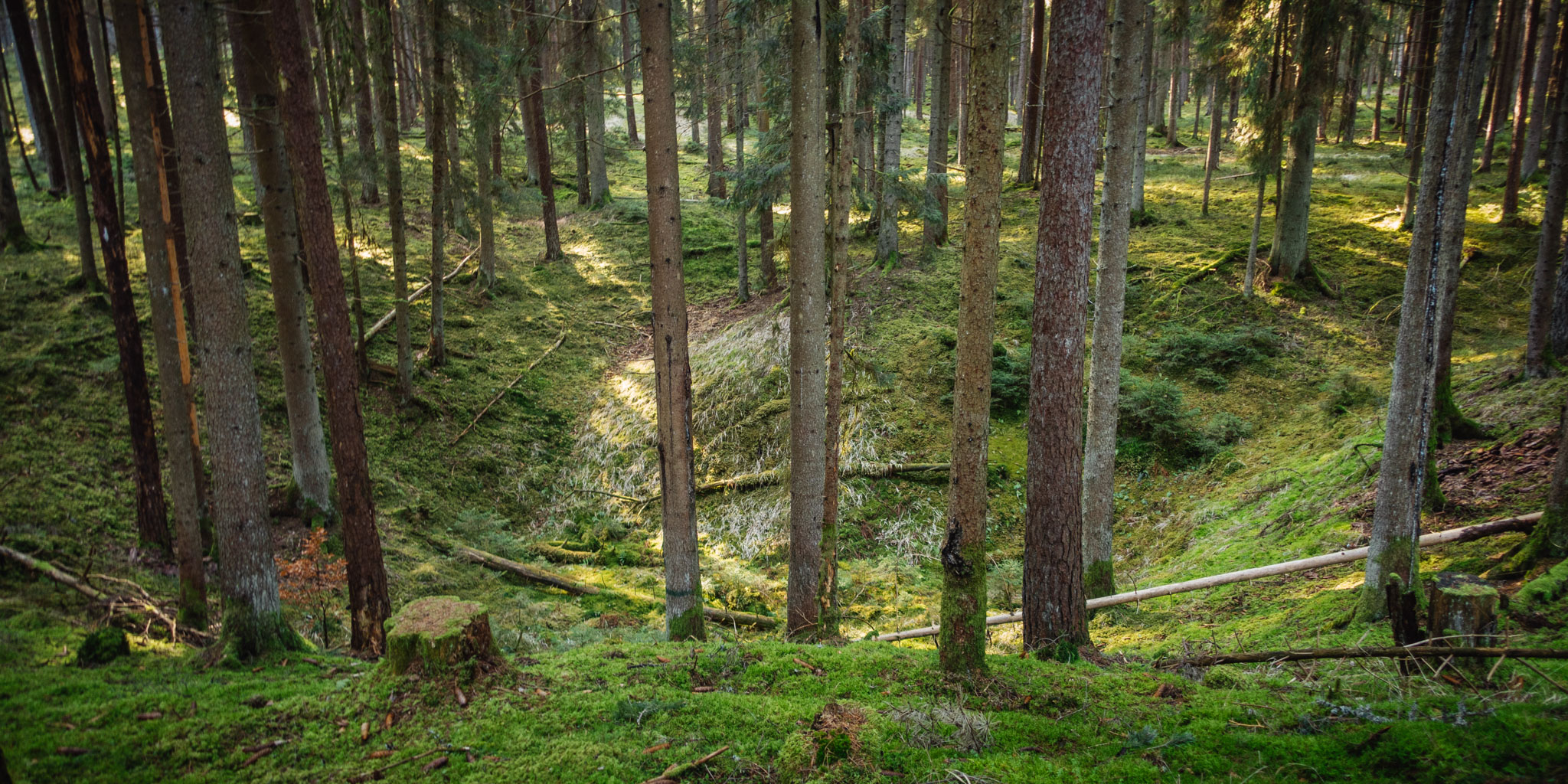 Neuhaus to Pegnitz