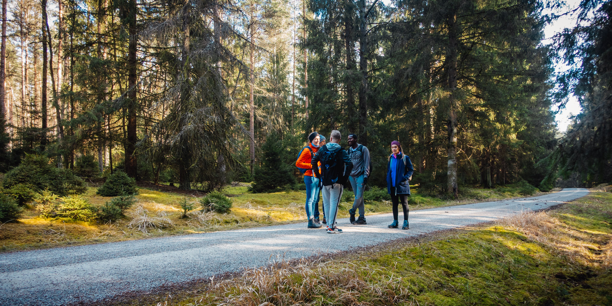 2020-02-09 Neuhaus to Pegnitz-0139