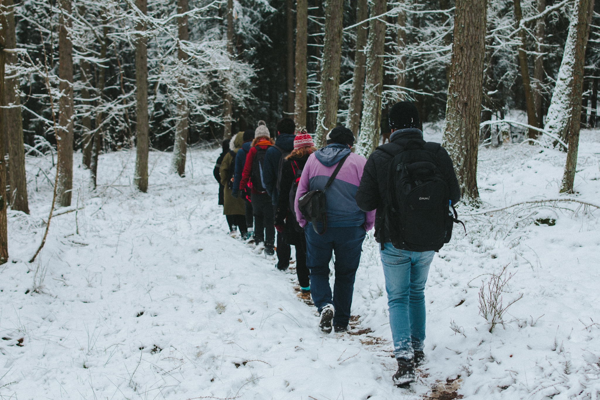 2018-03-17 Bayreuth Blueberry Forest-4803
