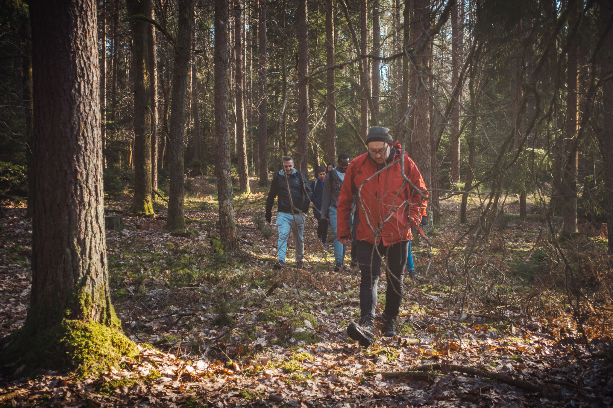 2020-02-09 Neuhaus to Pegnitz-0172