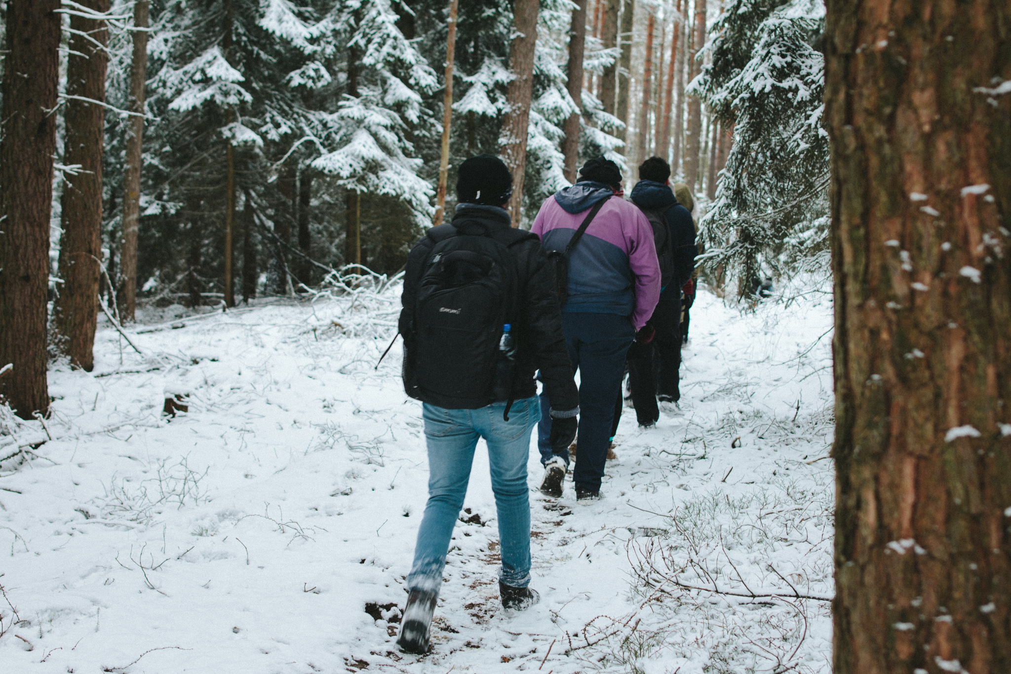 2018-03-17 Bayreuth Blueberry Forest-4804