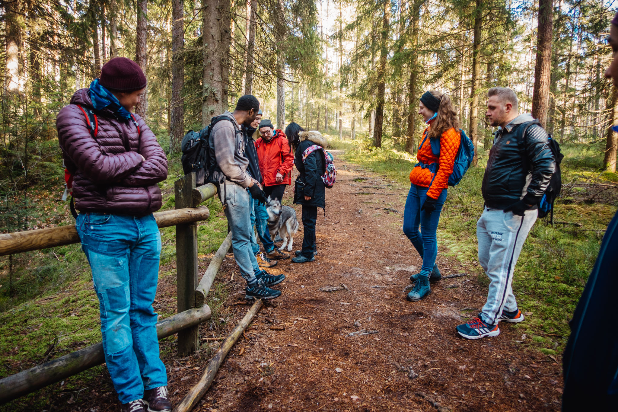 2020-02-09 Neuhaus to Pegnitz-0229