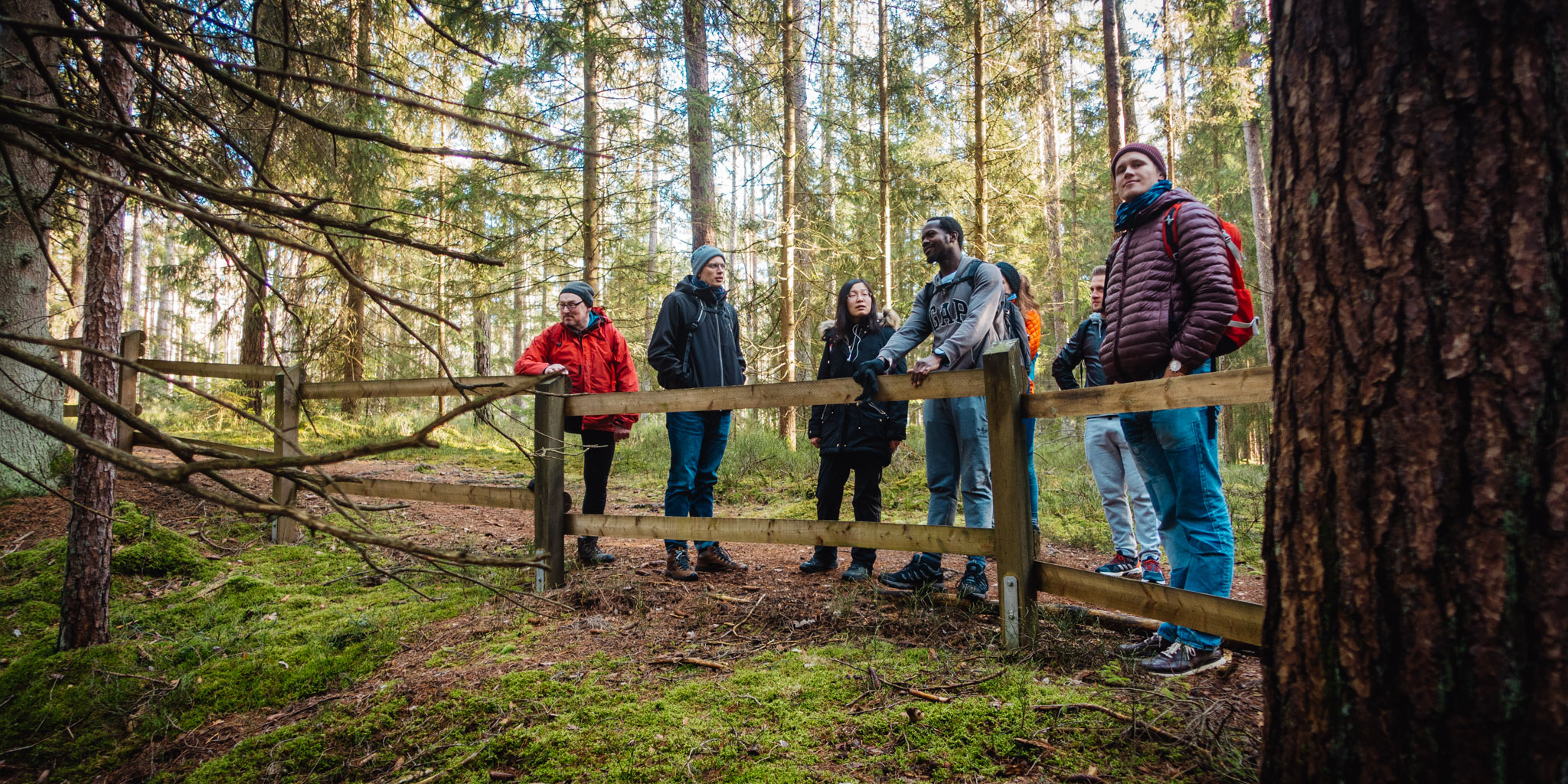 2020-02-09 Neuhaus to Pegnitz-0234