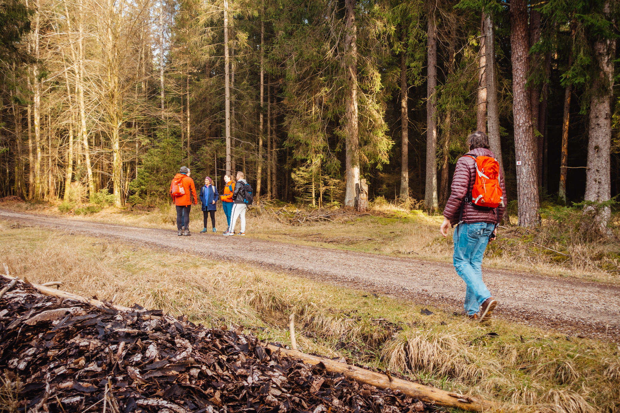 2020-02-09 Neuhaus to Pegnitz-0269