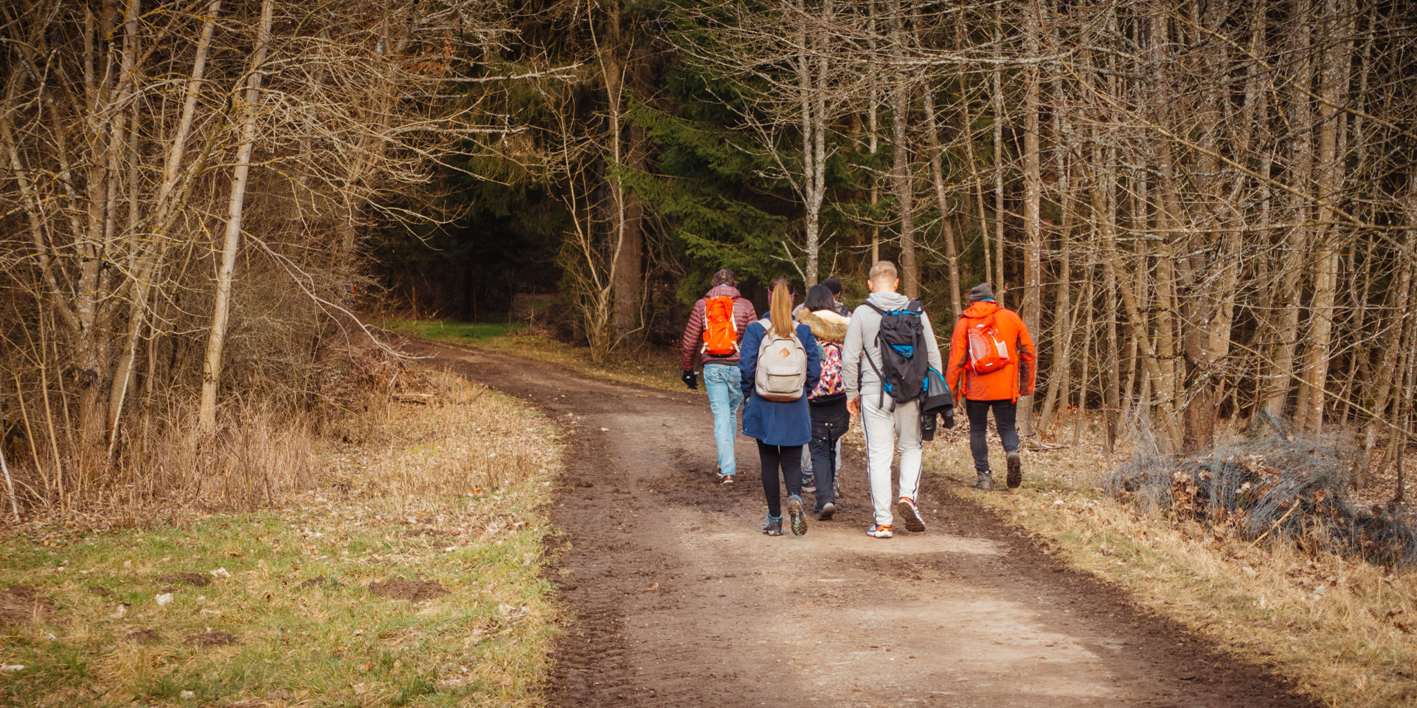 2020-02-09 Neuhaus to Pegnitz-0324