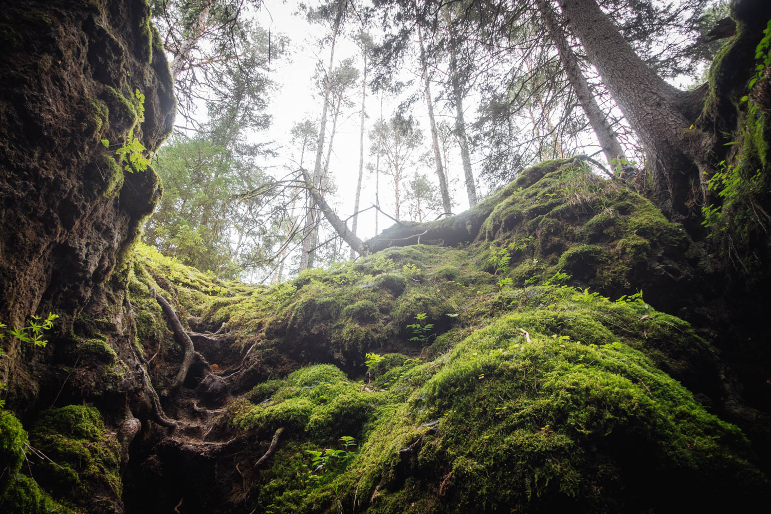 Horseshoe caves