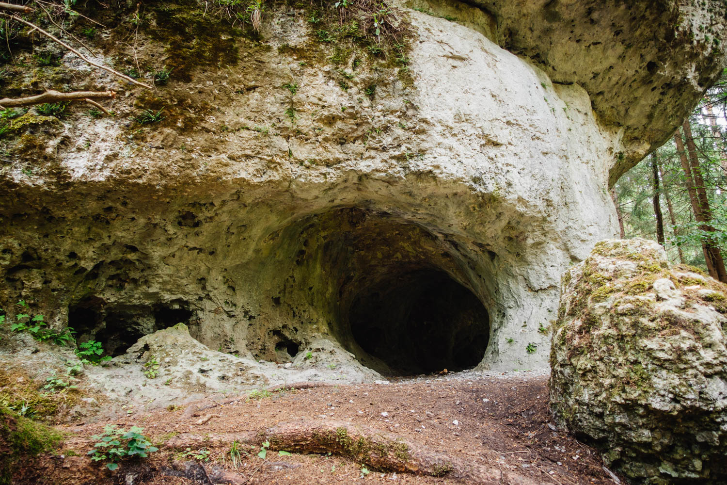 [New route] Horseshoe caves