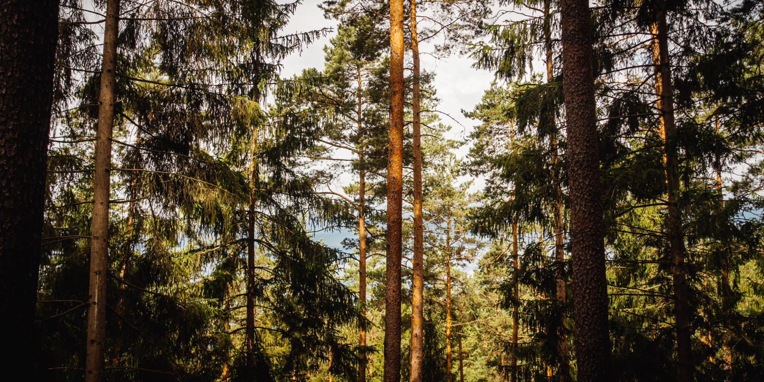 2020-07-02_Markgrafenweg-0017