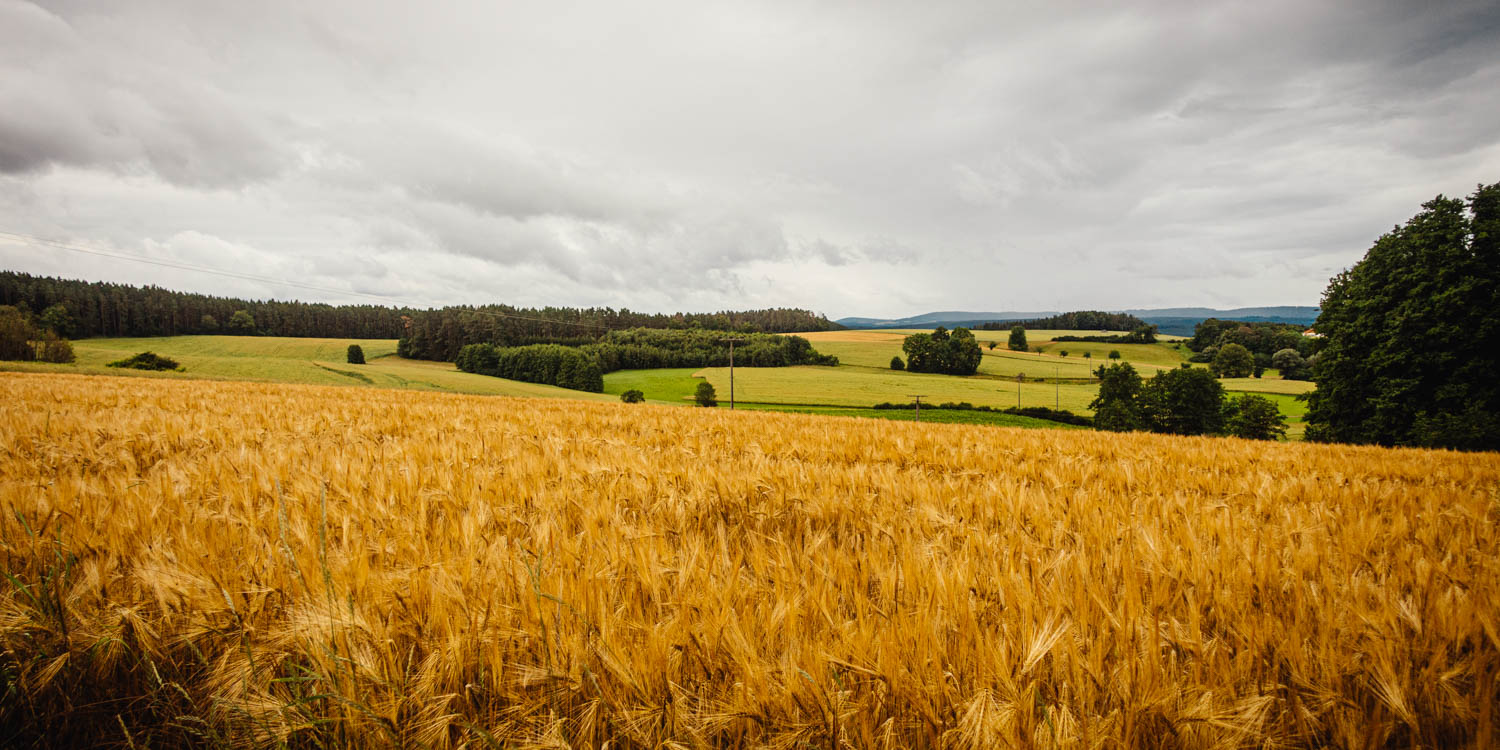 2020-07-02_Markgrafenweg-0029