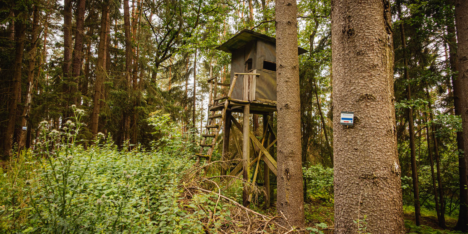 2020-07-02_Markgrafenweg-0032