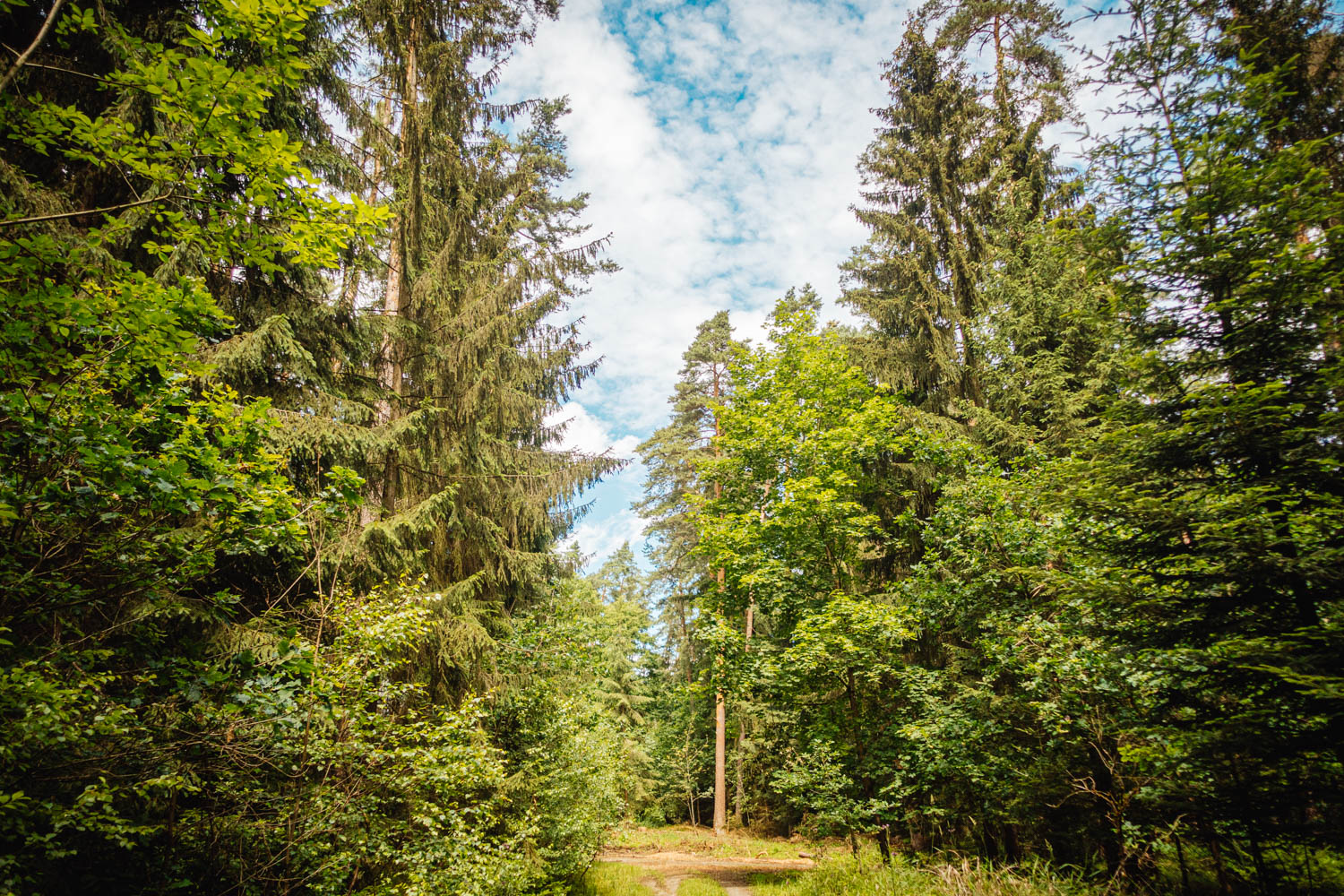 2020-07-02_Markgrafenweg-0070