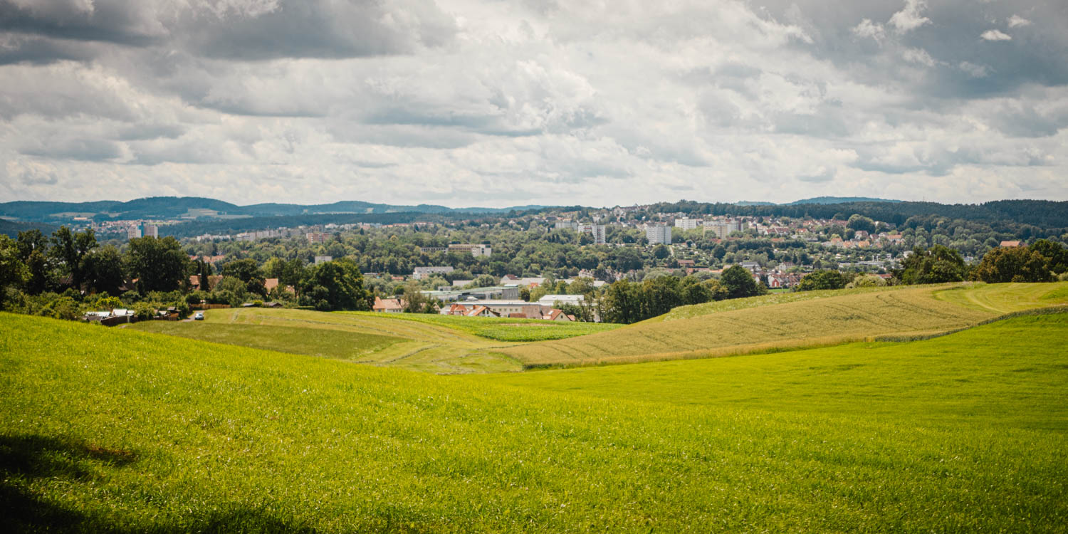 2020-07-02_Markgrafenweg-0078