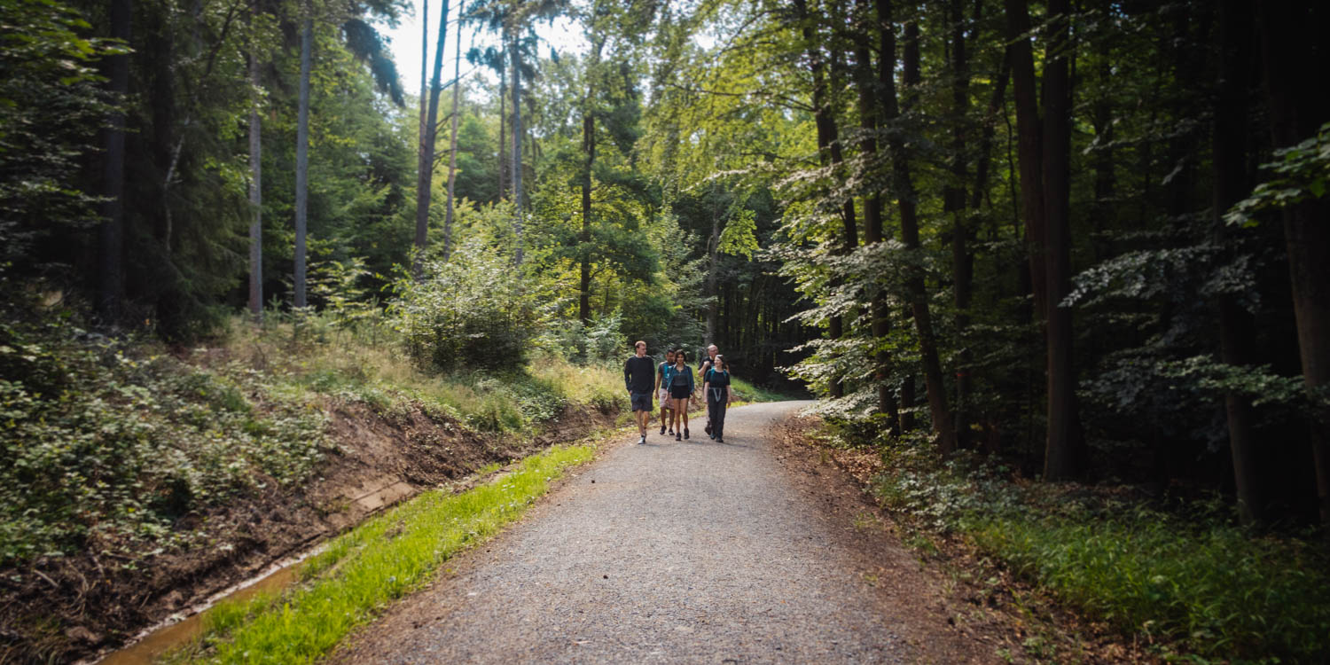 2020-07-12_Blueberry_Forest-0005