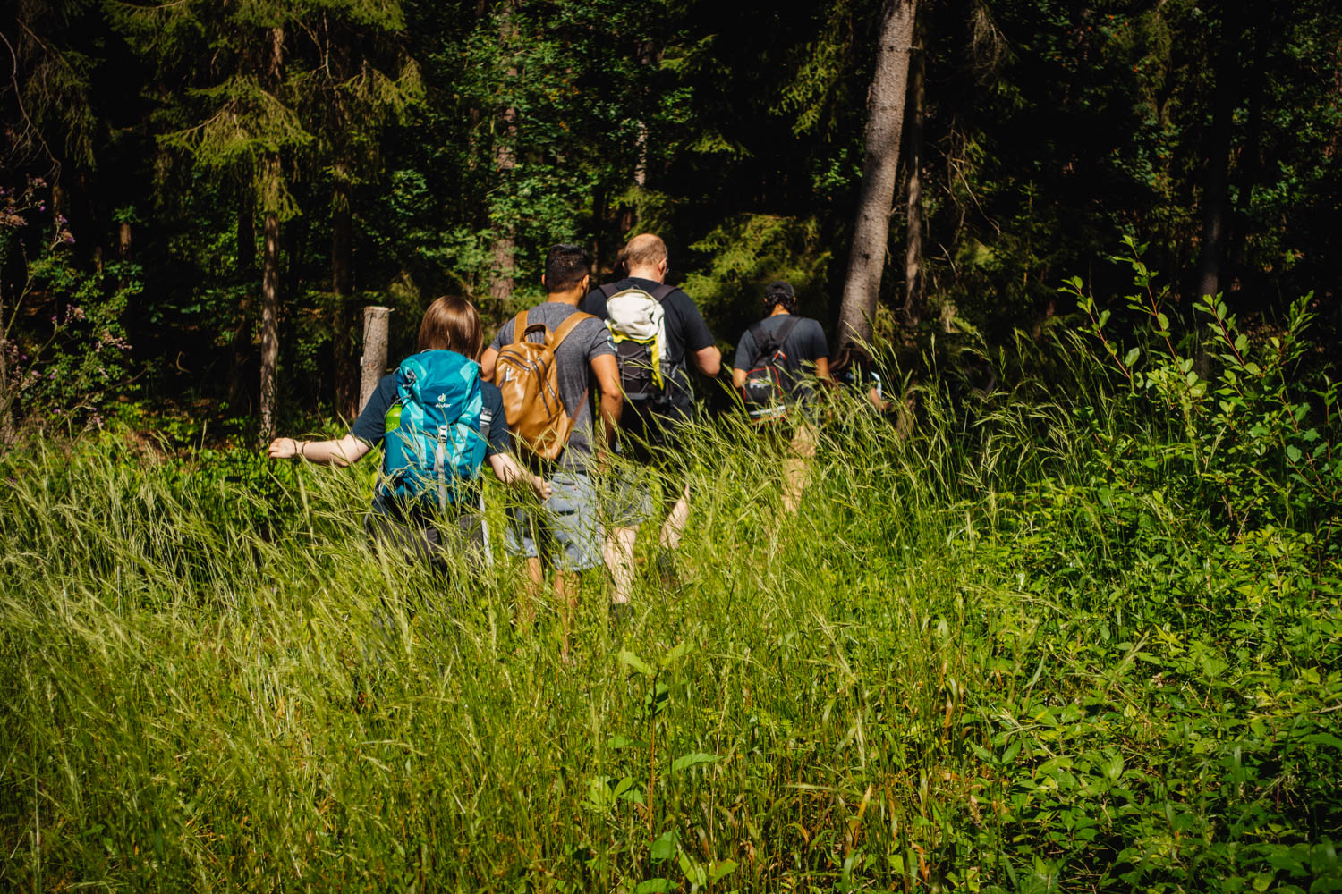 2020-07-12_Blueberry_Forest-0020