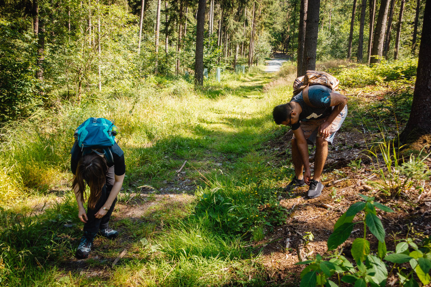 2020-07-12_Blueberry_Forest-0024