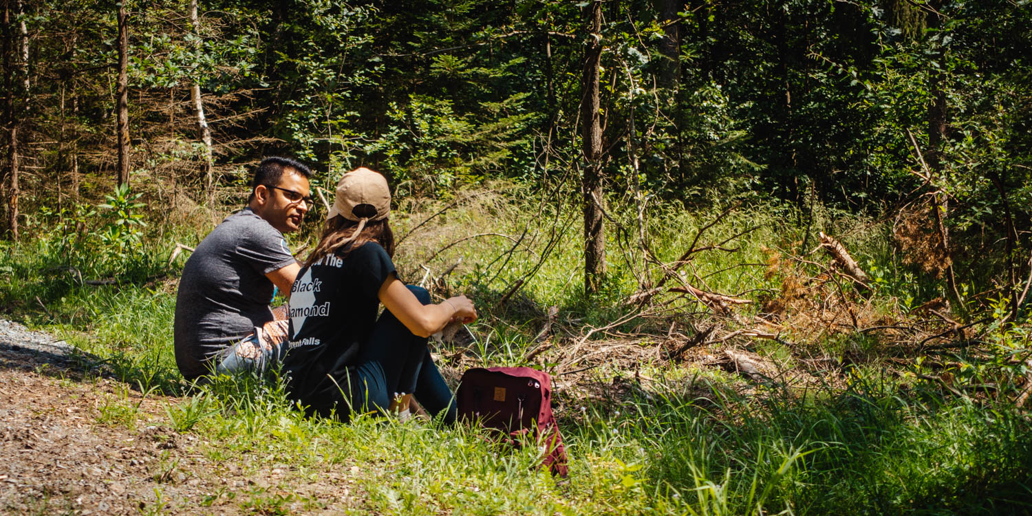 2020-07-12_Blueberry_Forest-0030