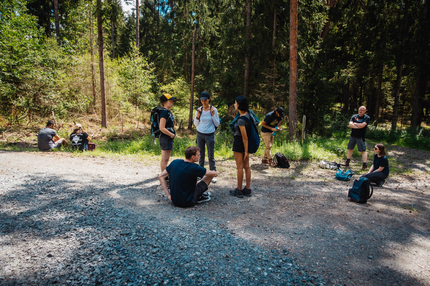 2020-07-12_Blueberry_Forest-0033