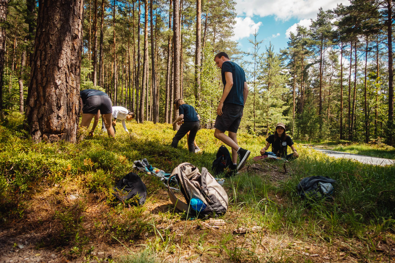 2020-07-12_Blueberry_Forest-0048