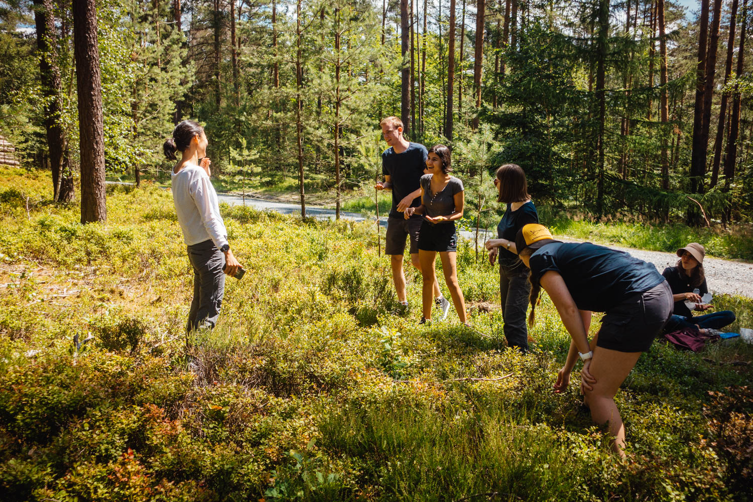 2020-07-12_Blueberry_Forest-0050