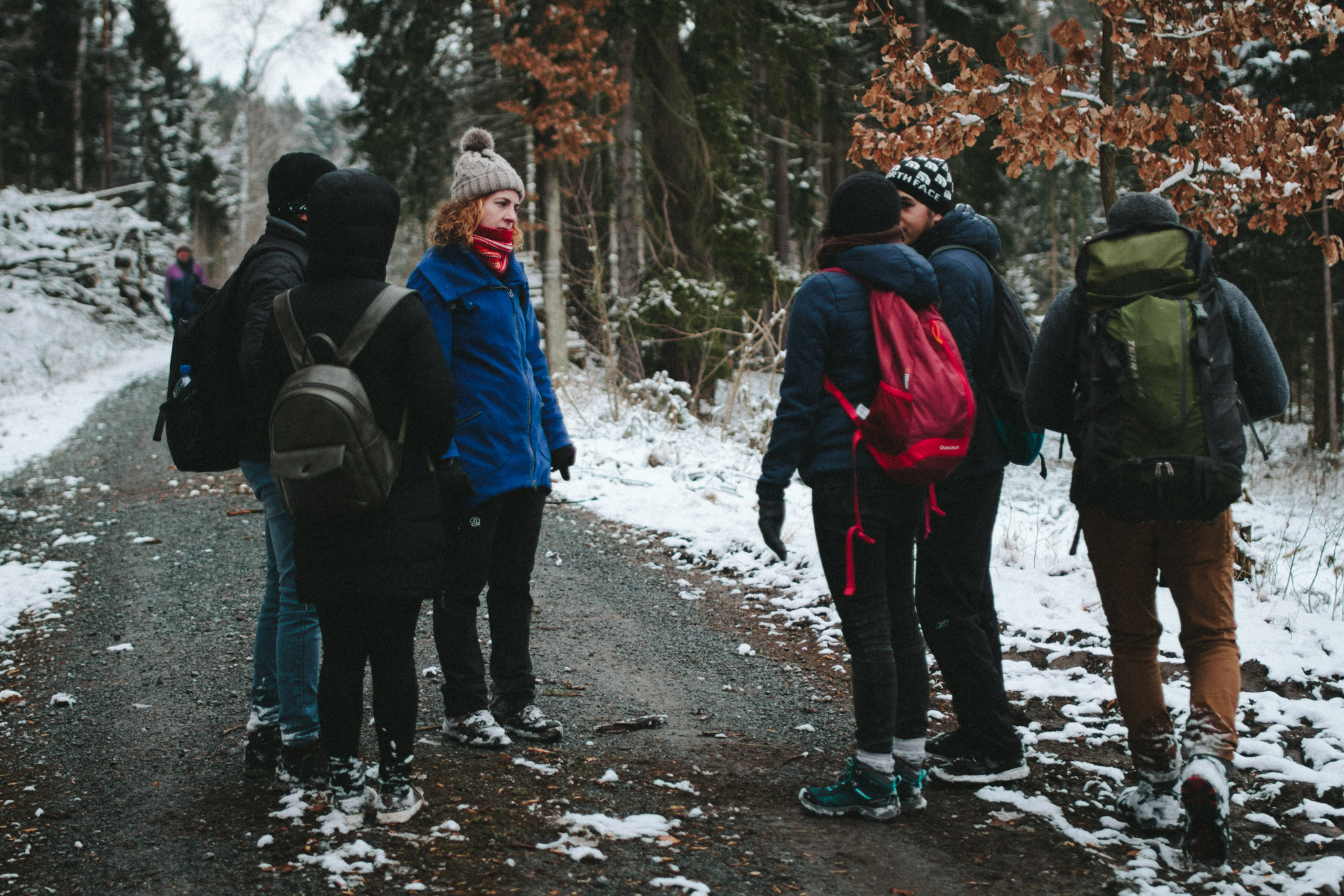 2018-03-17 Bayreuth Blueberry Forest-4852