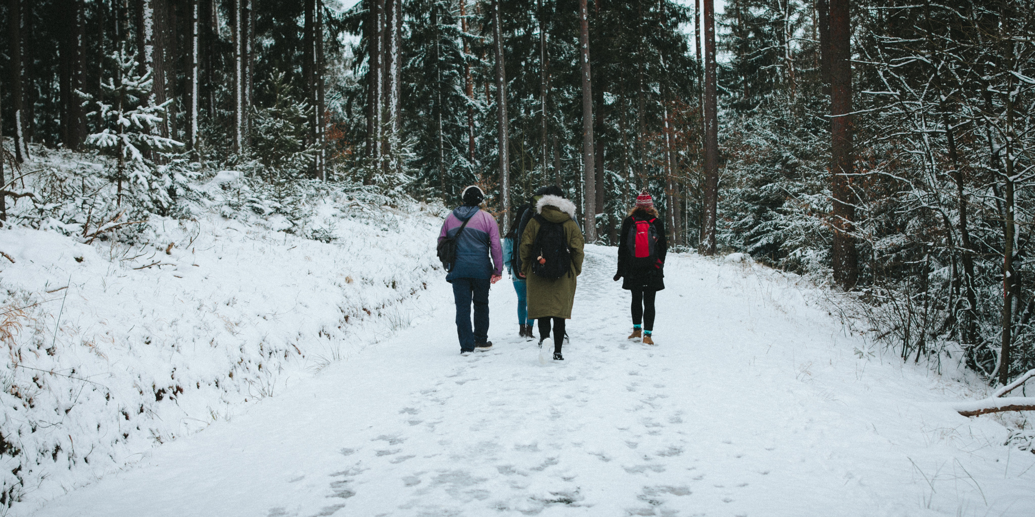 2018-03-17 Bayreuth Blueberry Forest-4853