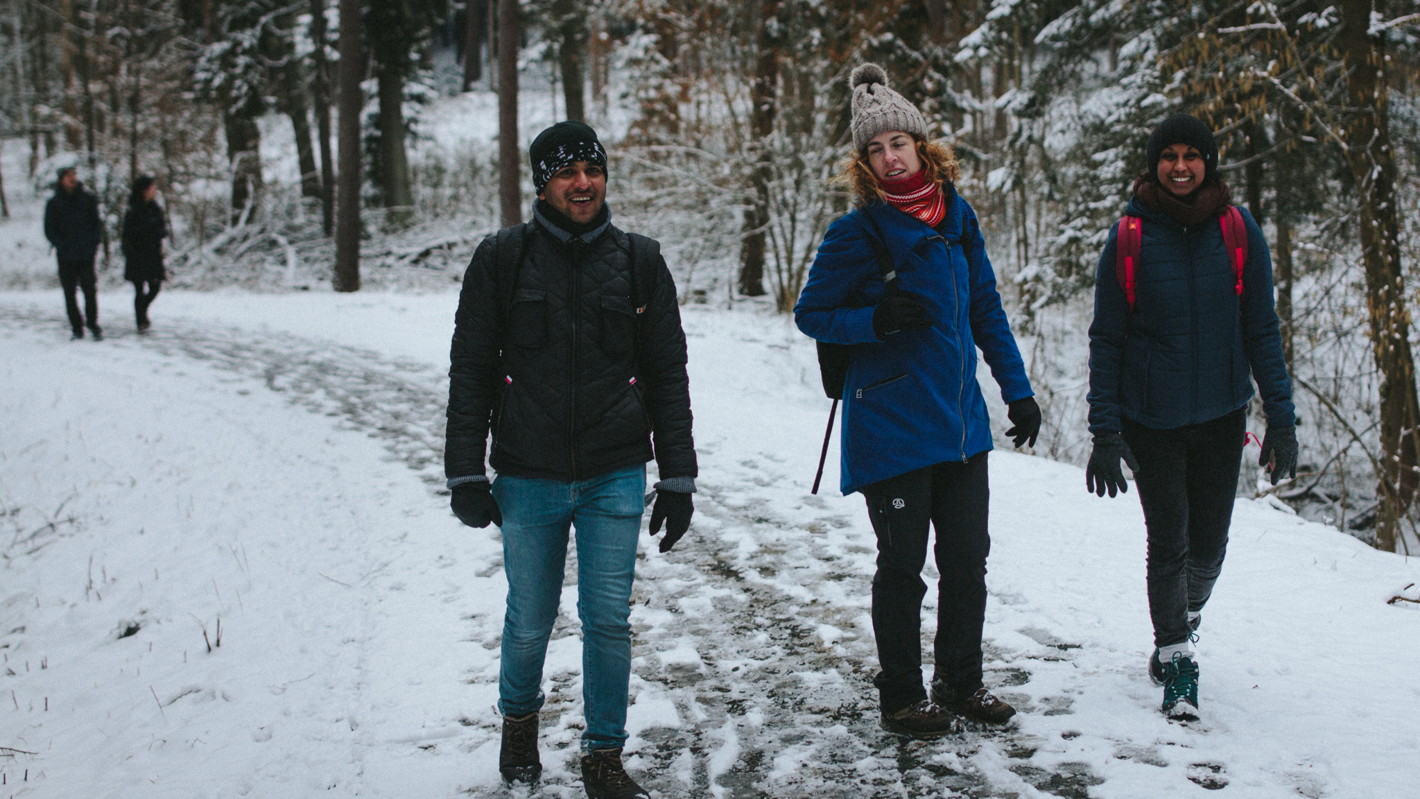 2018-03-17 Bayreuth Blueberry Forest-4857