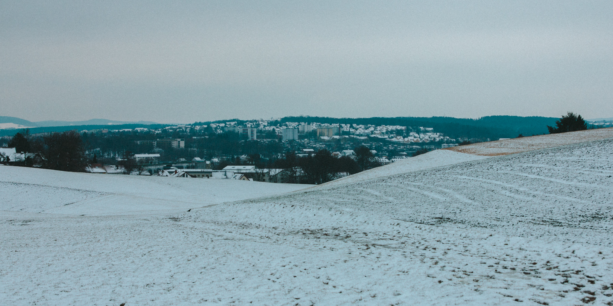 2018-03-17 Bayreuth Blueberry Forest-4873