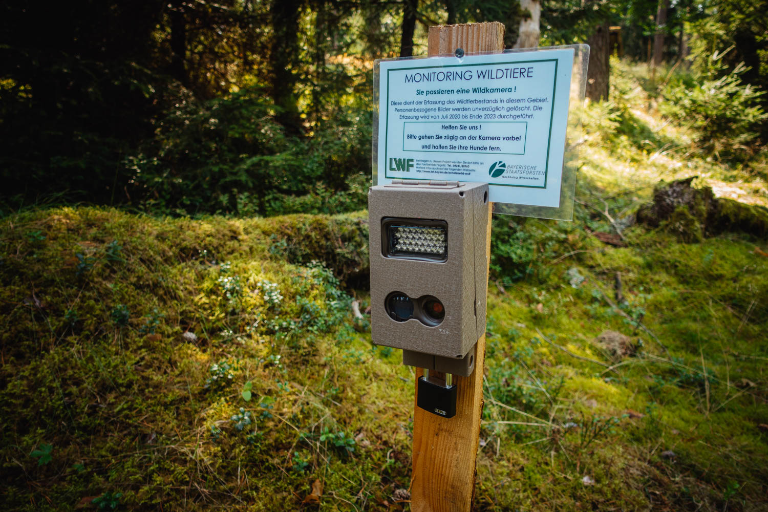 2020-09-12 Horseshoe caves-0158