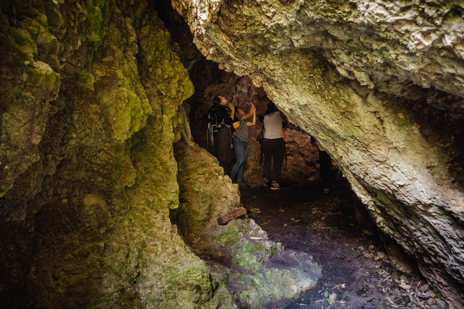 2020-09-12 Horseshoe caves-0196