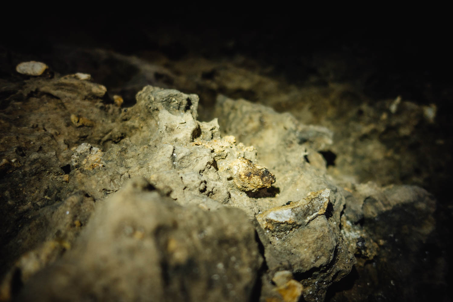 2020-09-12 Horseshoe caves-0325