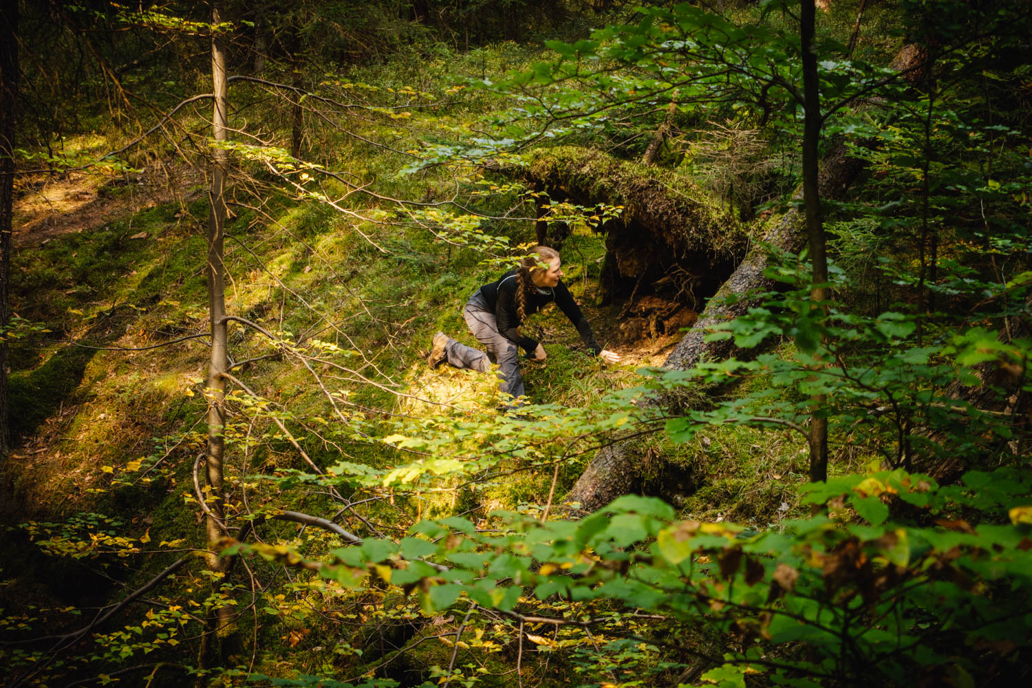 2020-09-12 Horseshoe caves-0361