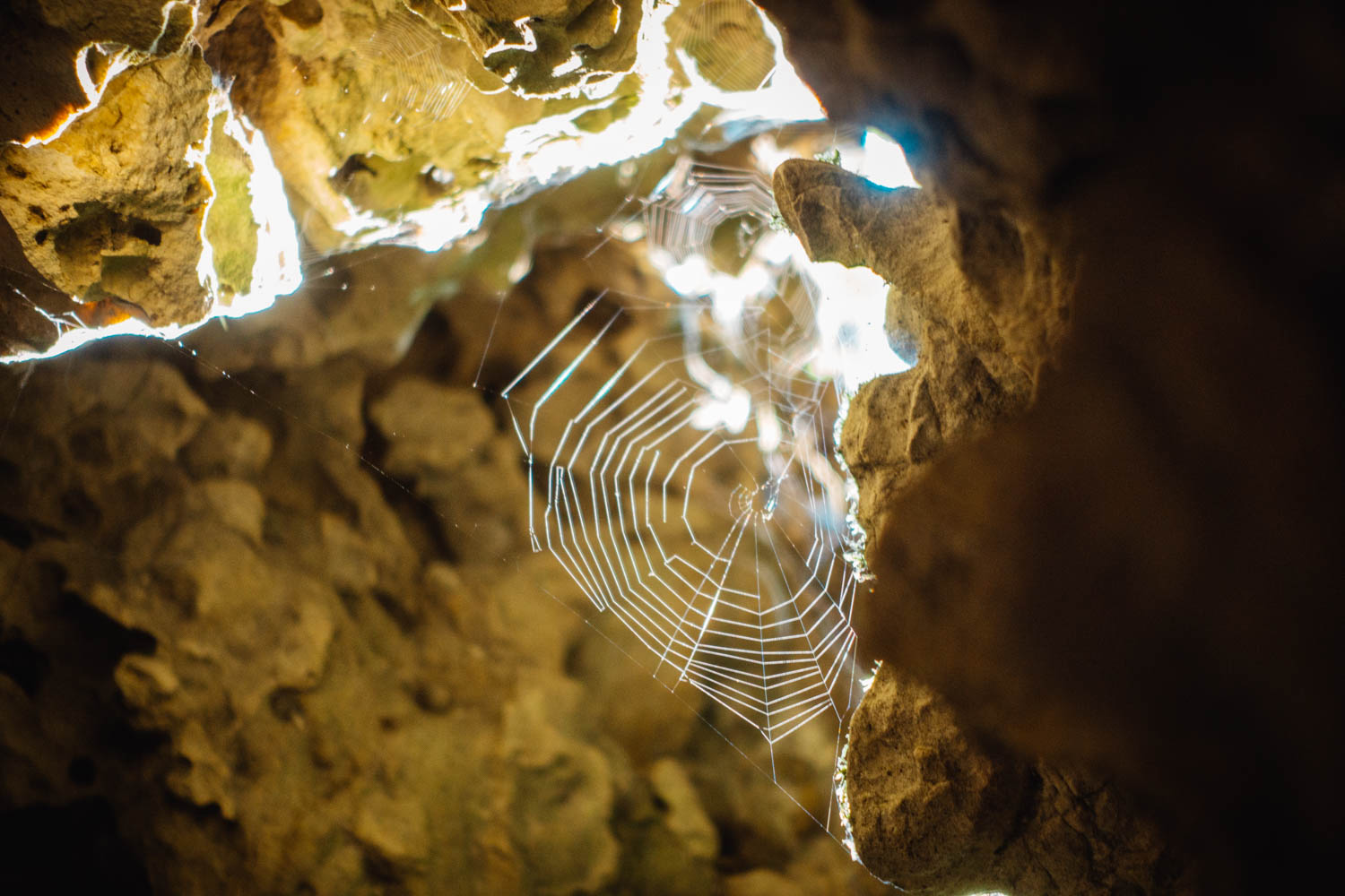 2020-09-12 Horseshoe caves-0416