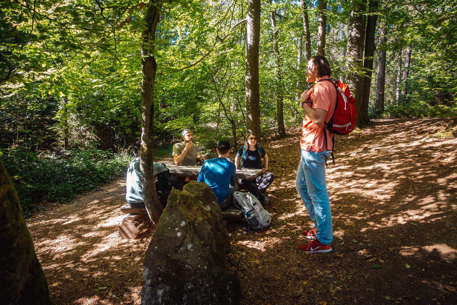 2020-09-20 Hummeltal windmills-0245