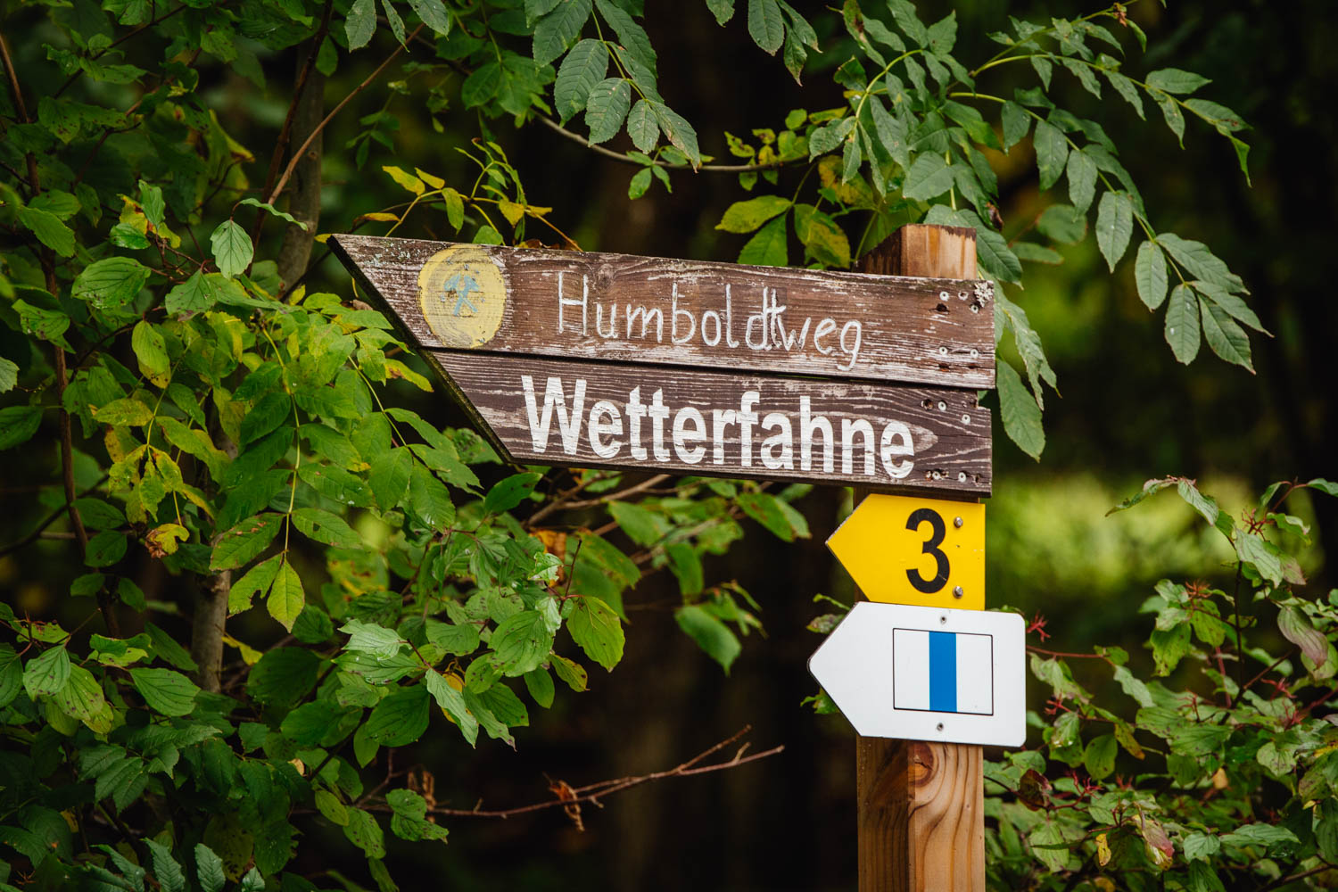 2020-10-10 Humboldtweg-114346-5775