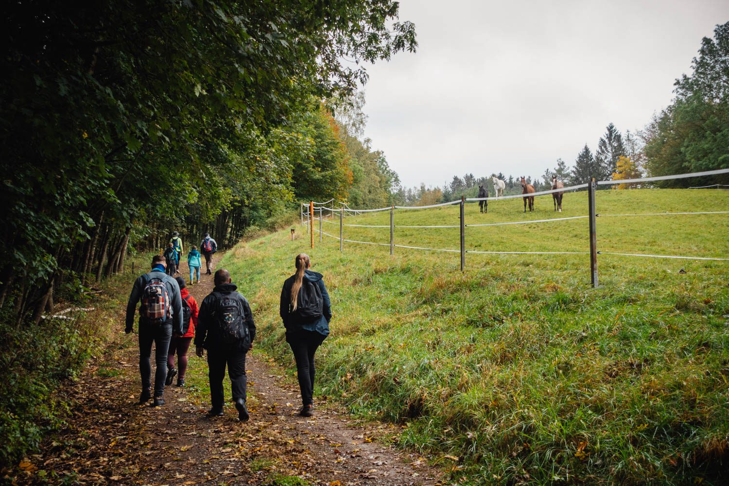 2020-10-10 Humboldtweg-121006-0120