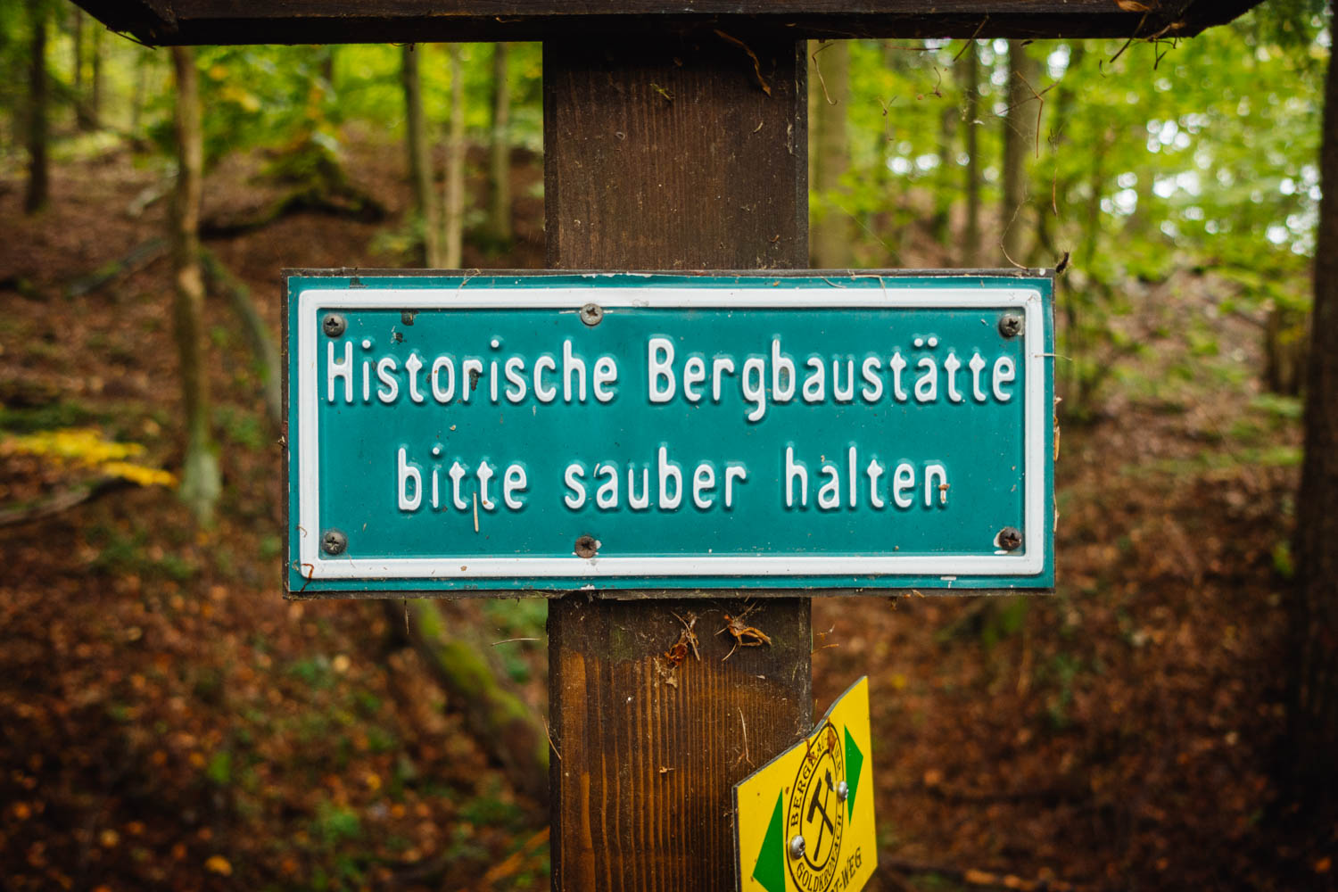2020-10-10 Humboldtweg-122510-0154