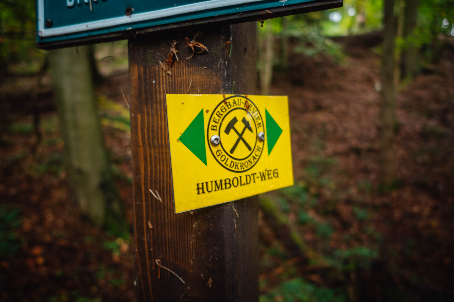 2020-10-10 Humboldtweg-122513-0155