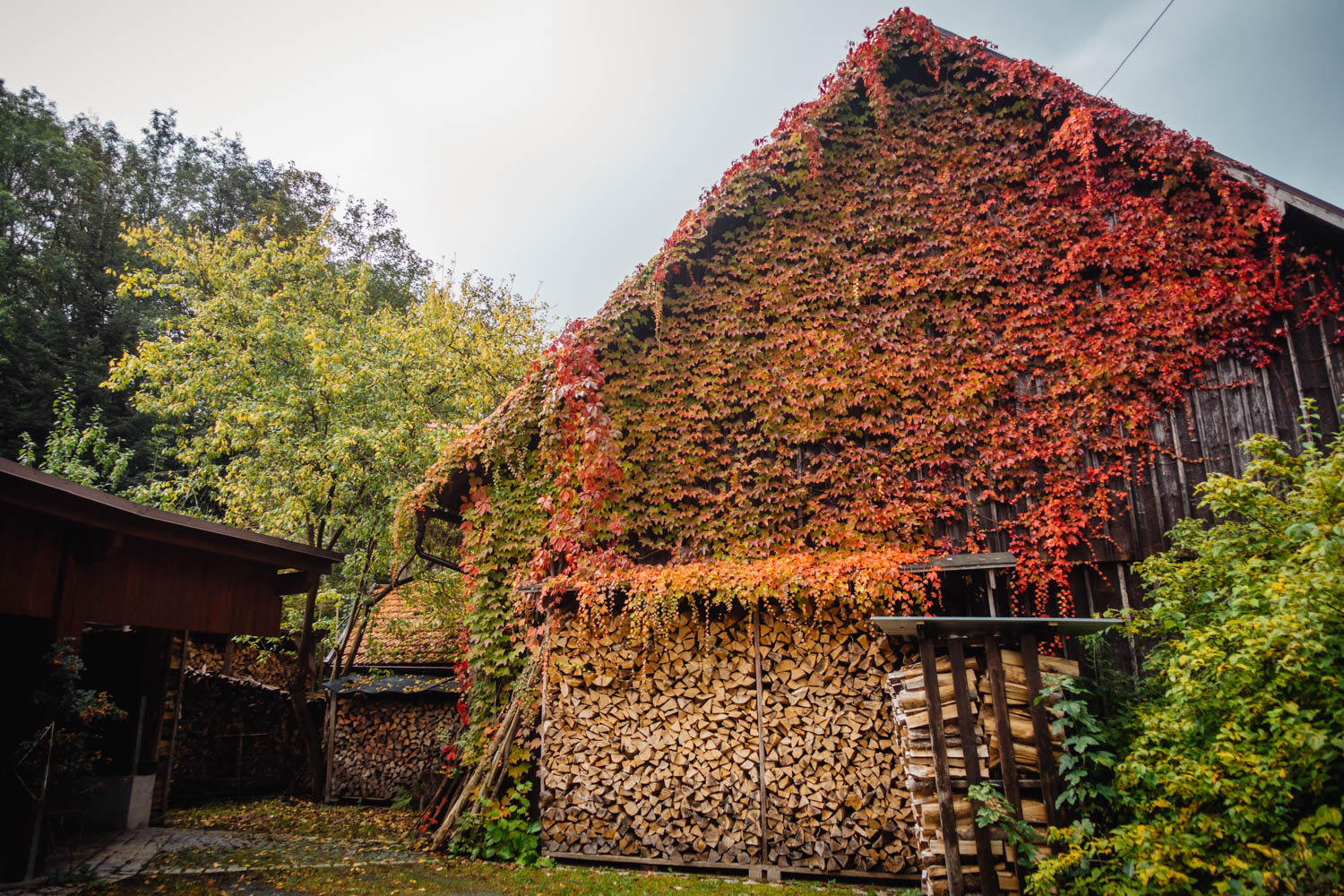 2020-10-10 Humboldtweg-125602-0225