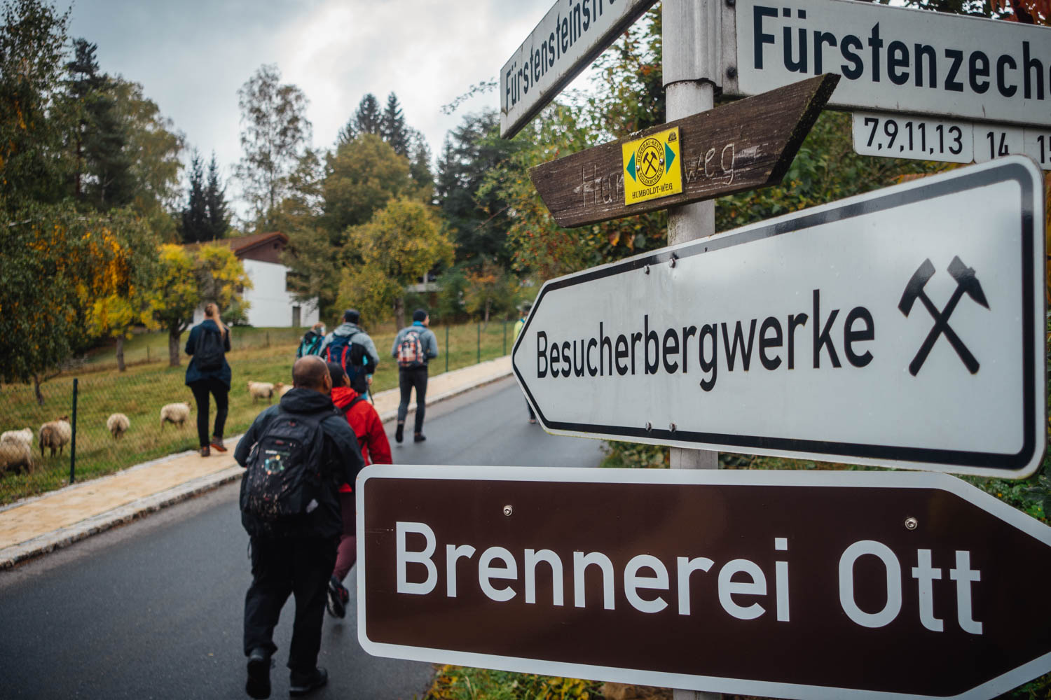 2020-10-10 Humboldtweg-132350-0283