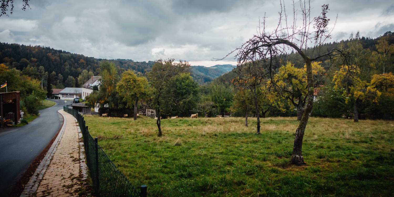 2020-10-10 Humboldtweg-132645-0287