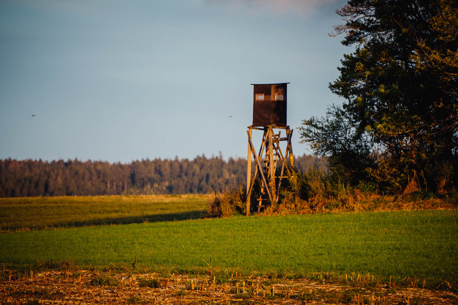 2020-10-10 Humboldtweg-180510-6211