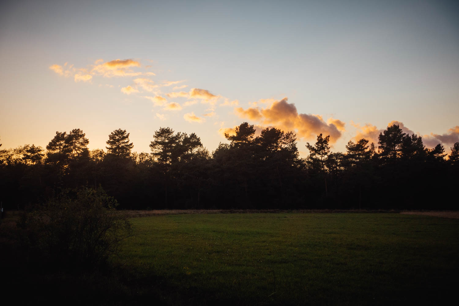 2020-10-10 Humboldtweg-182235-0582