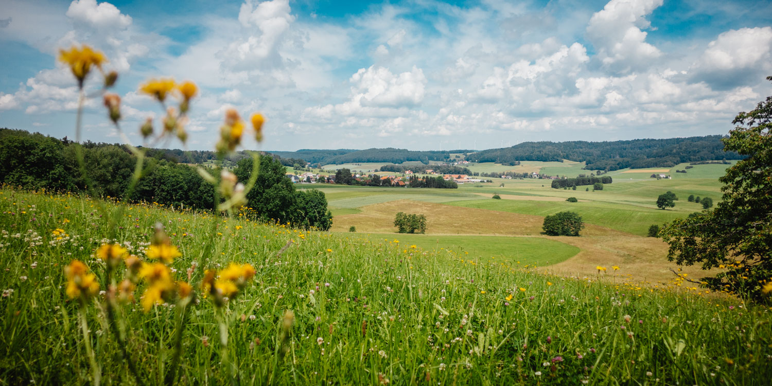 2021-06-27 Glashuetten-0040